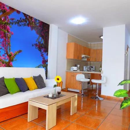 South Tenerife 公寓 *
