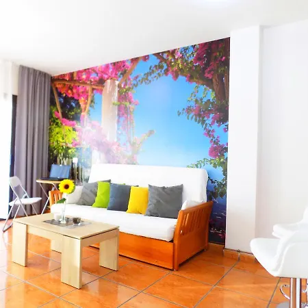 公寓 South Tenerife *